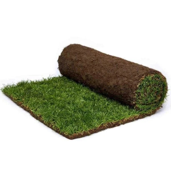 A roll of green turf or natural grass lawn 